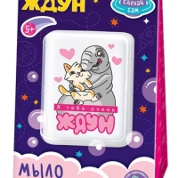 Набор для изготовления мыла. Мыло своими руками "Я тебя очень Ждун" 05784