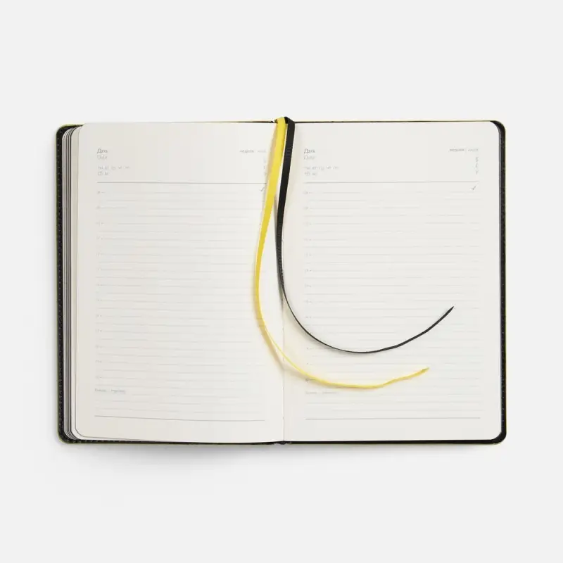 Ежедневник Alanis, недатированный, черный c желтым