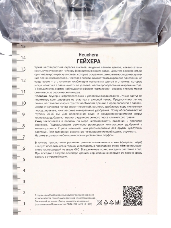 Гейхера (Хеухера) гибридная Берри Смути, корневище в пакете с торфогрунтом, р-р I, 1 шт.