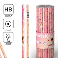 Карандаш чернографитный ErichKrause "Pointes", НВ, грифель d=2,2 мм, дерево, круглый, в тубусе, микс