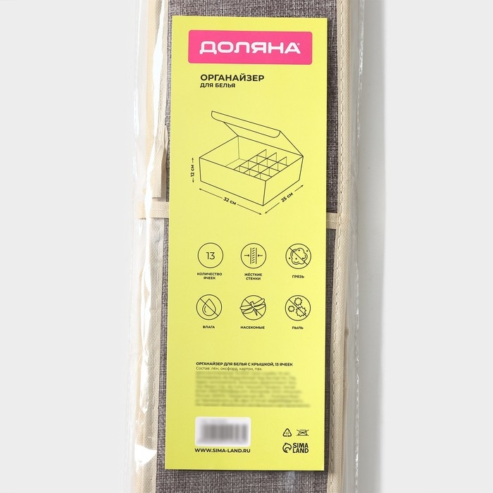 Органайзер для хранения белья Доляна &laquo;Тео&raquo;, 13 ячеек, с прозрачной крышкой, 32&times;23&times;12 см, цвет серый