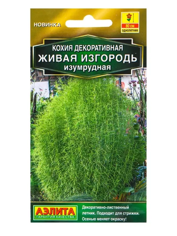 Семена цветов Кохия Живая изгородь изумрудная  Золотая серия, Ц/П,0,1 г