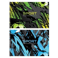 Альбом для рисования А4, 24 листа, на гребне, Sport, обложка мелованный картон, блок офсет 100 г/м&sup2;, МИКС