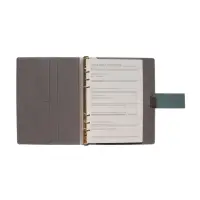 Органайзер на кольцах, А5, с хлястиком, 80л, линия, к/зам, Зеленый