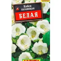 Семена цветов Кобея белая , Ц/П,0,45 г