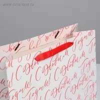 Пакет подарочный новогодний ламинированный &laquo;С Новым годом!&raquo;, ML 27 х 23 х 11.5 см