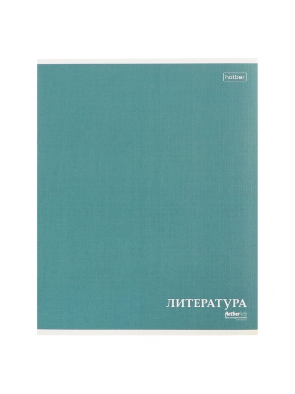 Комплект предметных тетрадей 24 листа, 10 предметов Hatber MoNoCoLoR, обложка мелованный картон, матовая ламинация, тиснение фольгой, с интерактивн�...