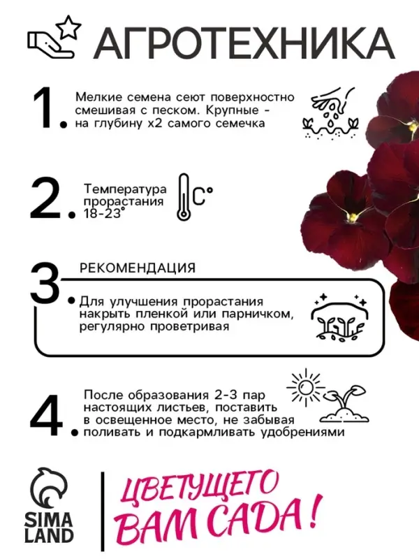 Семена Виола "Красное вино", 0,1 г