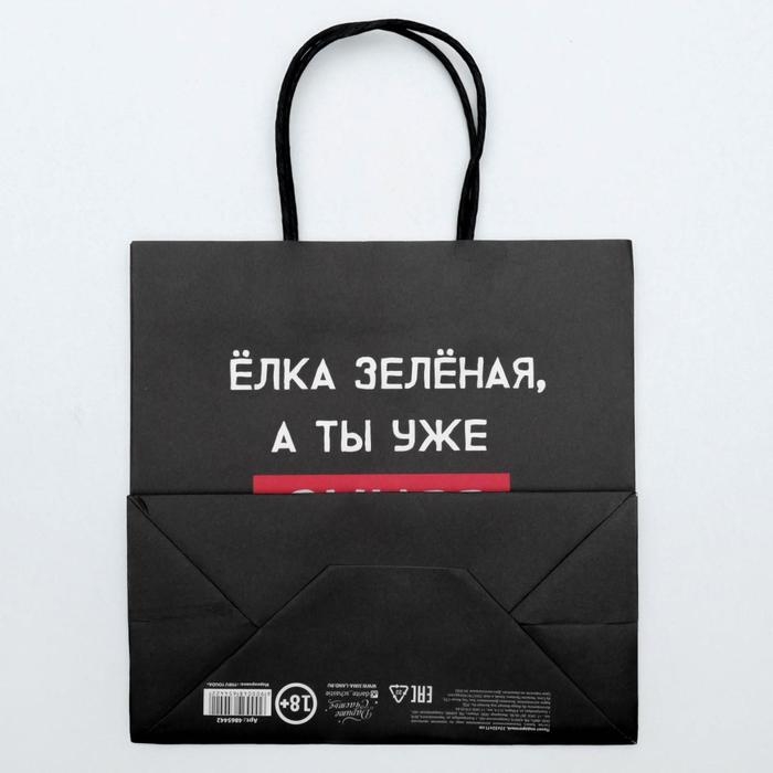 Пакет подарочный новогодний «А ты уже синяя», 22 х 22 х 11 см, Новый год Пакет подарочный новогодний «А ты уже синяя», 22 х 22 х 11 см, Новый год