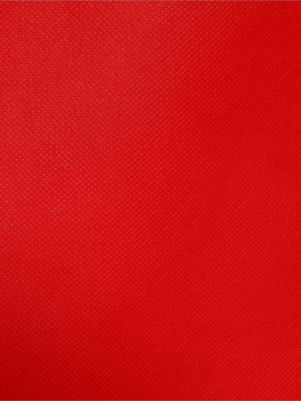 Пакет с петлевой ручкой "Эко", 35 х 31 х 8 см, красный