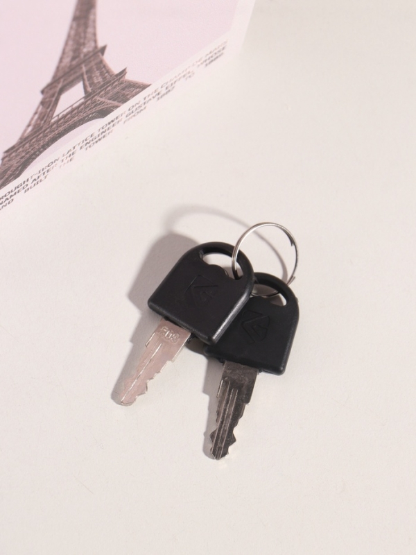 Сейф-книга дерево кожзам "Эйфелева башня. Координаторы" 21х13х5 см