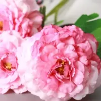 Цветы искусственные "Хризантема волнистая галант" d-8 см 58 см, розовый