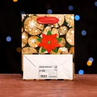 Пакет ламинированный Merry Christmas 11.5&times;14.5&times;6 см