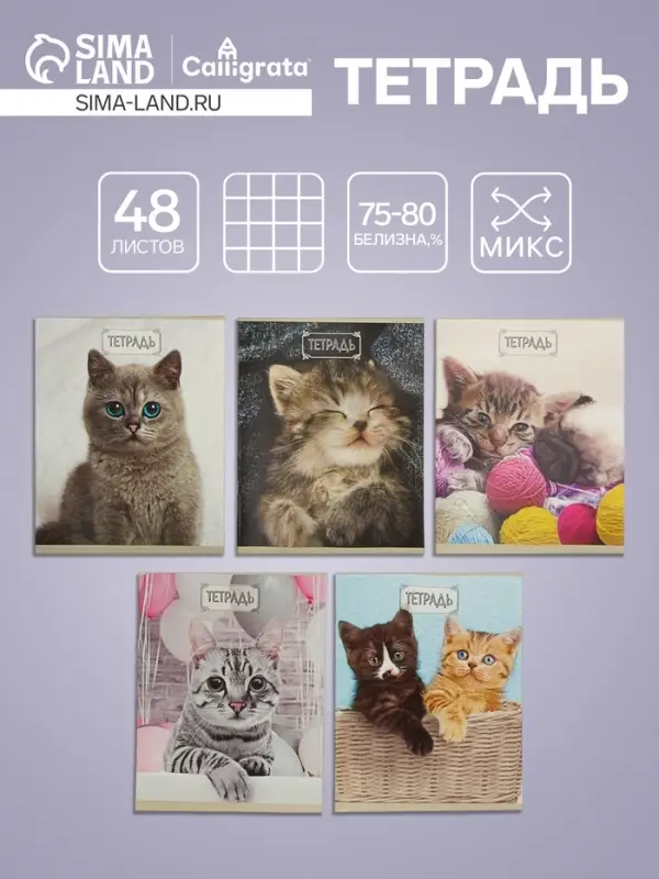 Тетрадь 48 листов в клетку Calligrata &laquo;Милые котята&raquo;, обложка мелованный картон, блок №2, белизна 75% (серые листы), МИКС