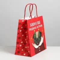 Пакет подарочный новогодний &laquo;Зажги в себе&raquo;, 22 х 22 х 11 см