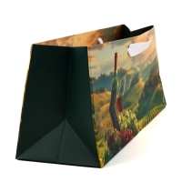 Пакет под бутылку горизонтальный &laquo;Подарок для тебя&raquo;, 36 &times; 10 &times; 13 см