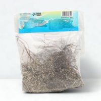 Флокс &laquo;Крем де ля Крем&raquo; корневище в пакете с торфогрунтом, р-р I, 2 шт.