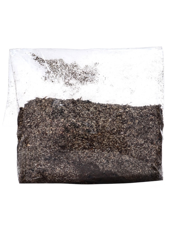 Флокс "Даниэль" р-р I, 2 шт, Весна 2025, ЭКОНОМ,