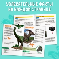 Мини-энциклопедии «Мир животных», набор 6 шт. по 20 стр. Мини-энциклопедии «Мир животных», набор 6 шт. по 20 стр.