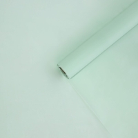 Плёнка для цветов упаковочная тишью влагостойкая «Мята», 0.6 x 8 м, 30мкм Плёнка для цветов упаковочная тишью влагостойкая «Мята», 0.6 x 8 м, 30мкм