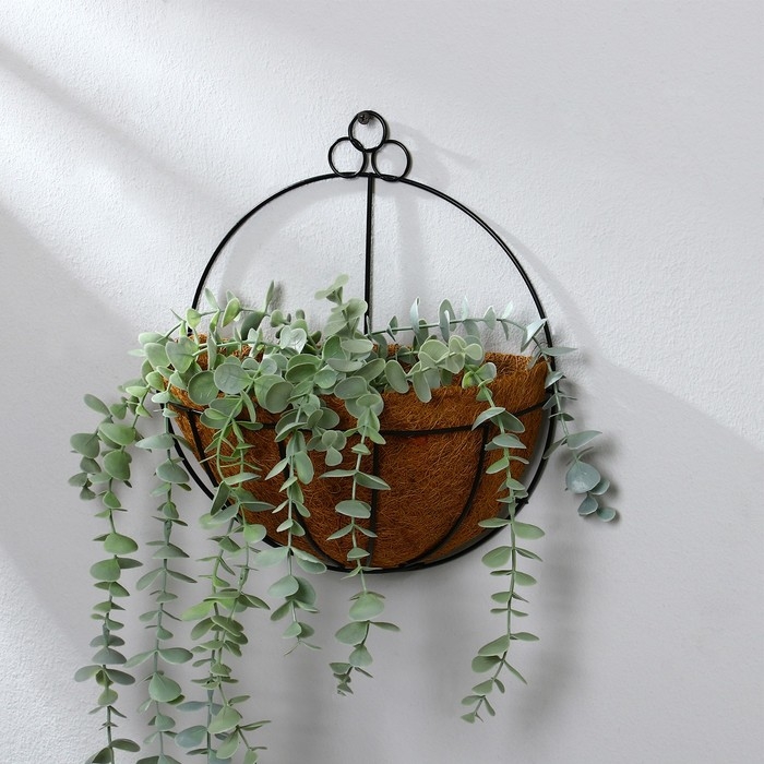 Кашпо настенное, d = 25 см, с кокосовым вкладышем, &laquo;Полусфера&raquo;, Greengo