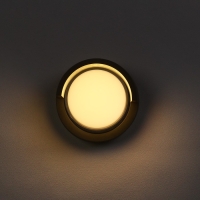 Светильник фасадный &laquo;Сити&raquo;, FSD-048, 10 Вт, 3000К, круг, IP65, 220 В, пластик, черный