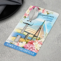 Ложка с гравировкой на открытке &laquo;Владивосток&raquo;, 3 х 14 см