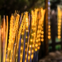 Садовый светильник на солнечной батарее «Колосья» Uniel, LED, IP44, 5 Лм, 750х3600х100 мм, цвет жёлтый Садовый светильник на солнечной батарее «Колосья» Uniel, LED, IP44, 5 Лм, 750х3600х100 мм, цвет жёлтый