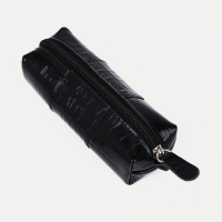 Ключница на молнии, длина 12, 5 см, кольцо, цвет чёрный Ключница на молнии, длина 12, 5 см, кольцо, цвет чёрный