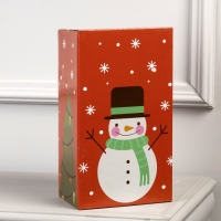 Светодиодная фигура &laquo;Снеговик в шарфе&raquo; 13 &times; 25 &times; 15 см, акрил, 30 LED, 220 В, свечение белое