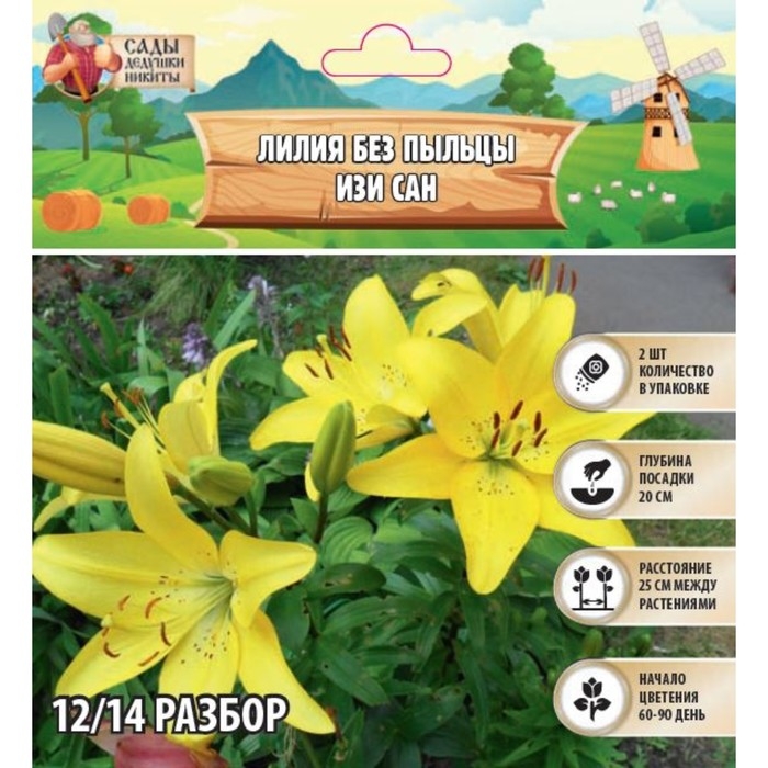 Лилия без пыльцы Лилия без пыльцы "Easy Sun", р-р 12/14, 2 шт,