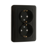 Розетка двухместная со шторкой Luazon Lighting "Орион", 16 А, скрытая, с з/к, черная