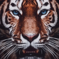 Набор подарочный Этель Strong, полотенце 70х146см и аксессуары Набор подарочный Этель Strong, полотенце 70х146см и аксессуары