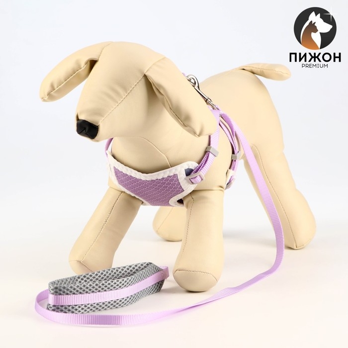 Комплект амуниции с мягкой шлейкой, S, поводок 120 х 1 см, ОШ 20-35 см, ОГ 20-35 см, сиреневый 71490 Комплект амуниции с мягкой шлейкой, S, поводок 120 х 1 см, ОШ 20-35 см, ОГ 20-35 см, сиреневый 71490