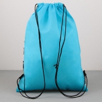 Мешок для обуви &laquo;1 сентября: Dinotime&raquo; нетканное полотно, размер 30 х 40 см