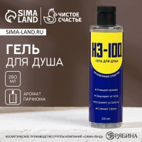 Гель для душа &laquo;ВСЁ в 1&raquo;, 250 мл, аромат мужского парфюма, ЧИСТОЕ СЧАСТЬЕ