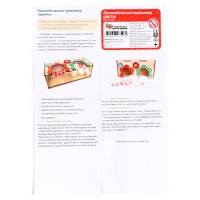 Обучающий набор &laquo;Логопедический тренажёр. Цветы&raquo;