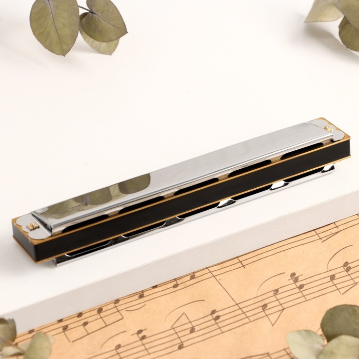 Губная гармошка Music Life T2401 тремоло, с футляром