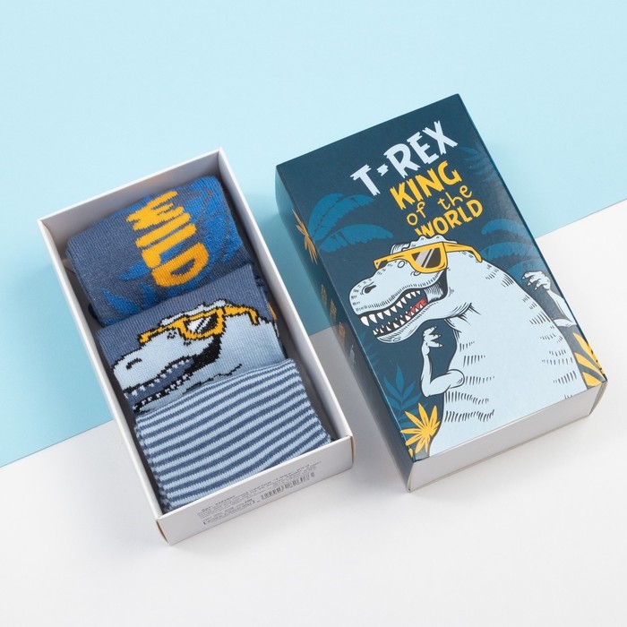 Набор детских носков KAFTAN Набор детских носков KAFTAN "T-REX" 3 пары, размер 16-18