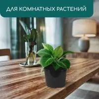 Горшок для рассады, 2 л, d = 17,5 см, h = 13 см, пластик, чёрный, Greengo