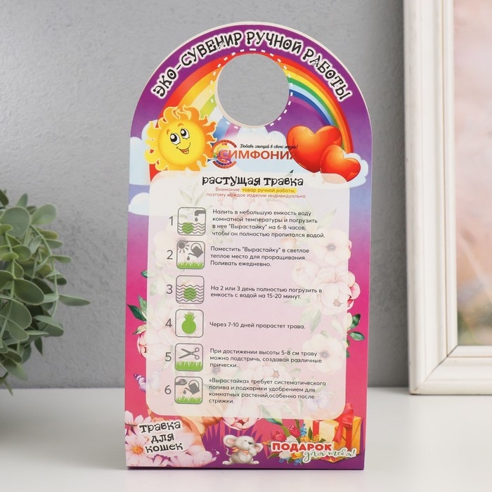 Растущий подарок травка Вырастайка &laquo;Кактус"