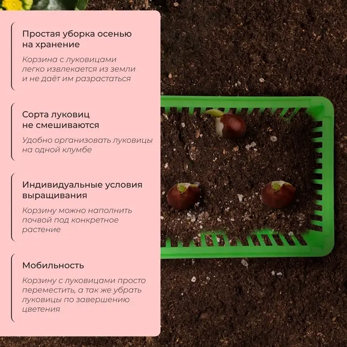 Корзина для луковичных, квадратная, 25&times;20 см, зелёная, Greengo
