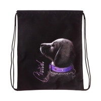 Мешок для обуви, 435&times;360 мм, Stavia (плотность 600D) &laquo;Собачка&raquo;