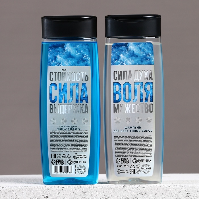 Подарочный набор косметики новогодний &laquo;Твои возможности безграничны&raquo;, гель для душа и шампунь для волос , 2 х 250 мл, Новый Год