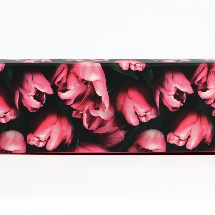 Коробка под 5 конфет с ячейками &laquo;Фуксия&raquo;, 21 х 3.3 х 5.8 см