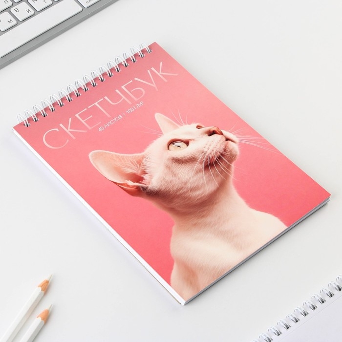 Скетчбук А5, 40 л 100 г/м2 &laquo;Кошка&raquo;
