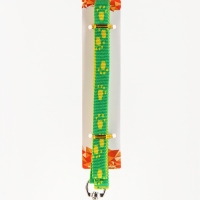 Комплект "Большая лапа", ширина 1,5 см, поводок 120 см, шлейка 28-42 см, жёлто-зелёный Комплект "Большая лапа", ширина 1,5 см, поводок 120 см, шлейка 28-42 см, жёлто-зелёный