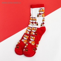 Носки новогодние мужские KAFTAN "Кот" размер 41-44 (27-29 см), цвет красный Носки новогодние мужские KAFTAN "Кот" размер 41-44 (27-29 см), цвет красный
