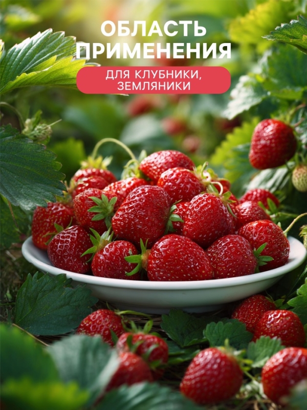 Удобрение органоминеральное "Буйские удобрения", для клубники, земляники, 1 кг