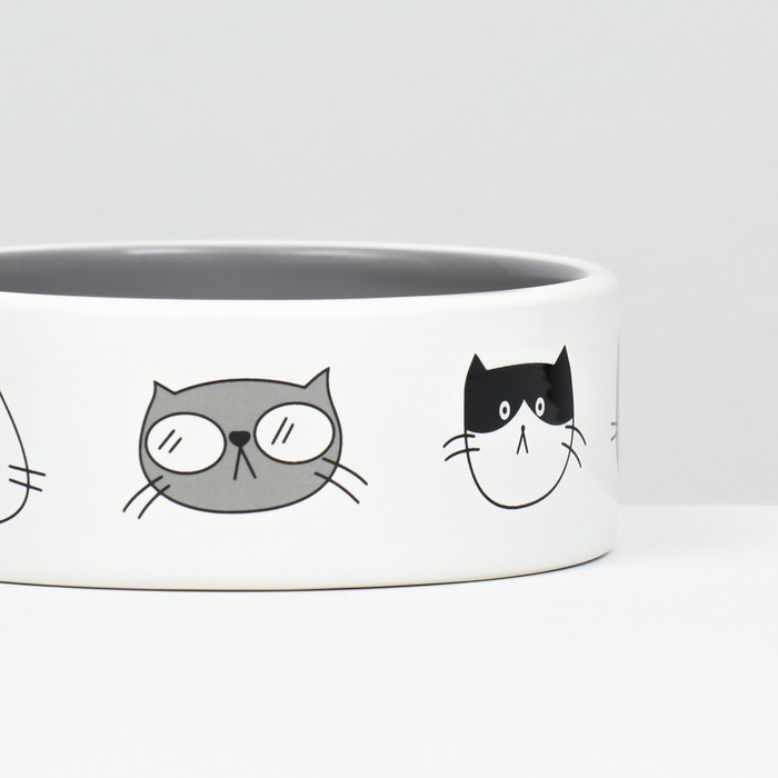 Миска керамическая "Четыре кота" 300 мл  12,5 x 4,5 cм, белая/серая